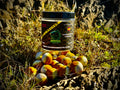 Boilies Equilibrados de Colores 20 mm – Kompas Baits