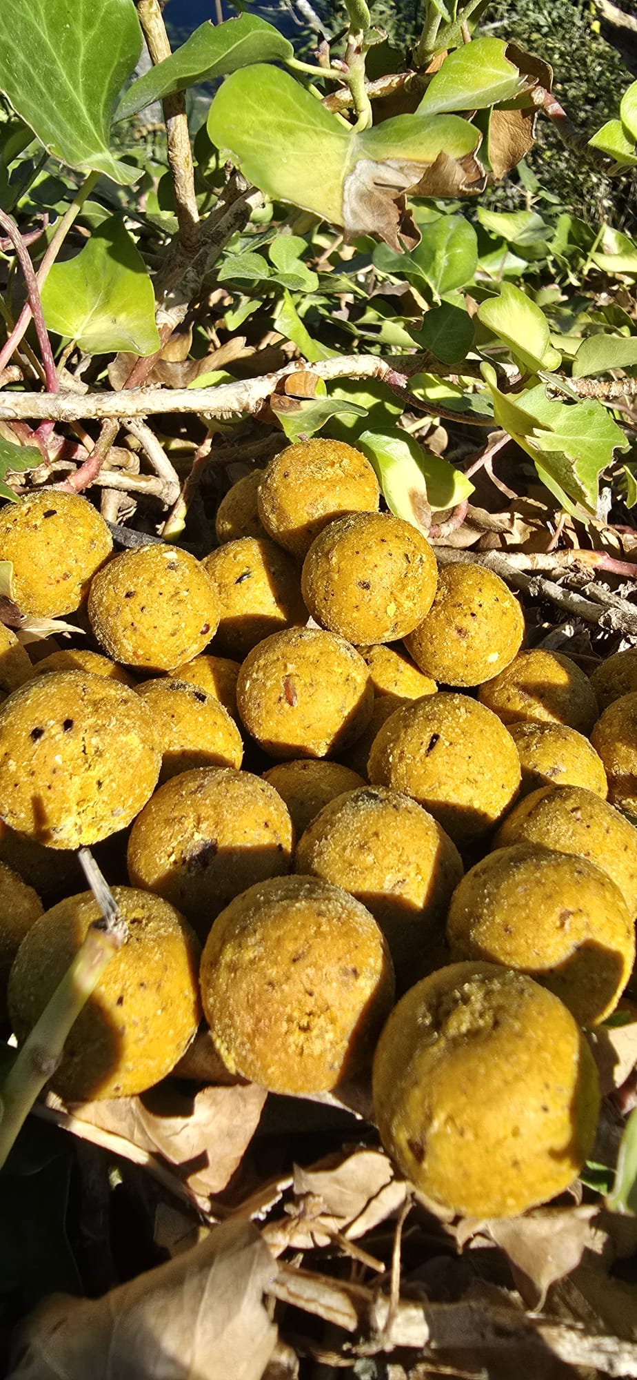 Kompas Boilies 900g