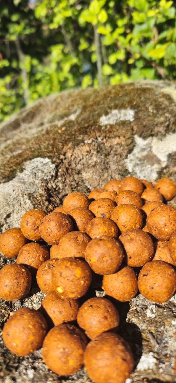 Kompas Boilies 900g