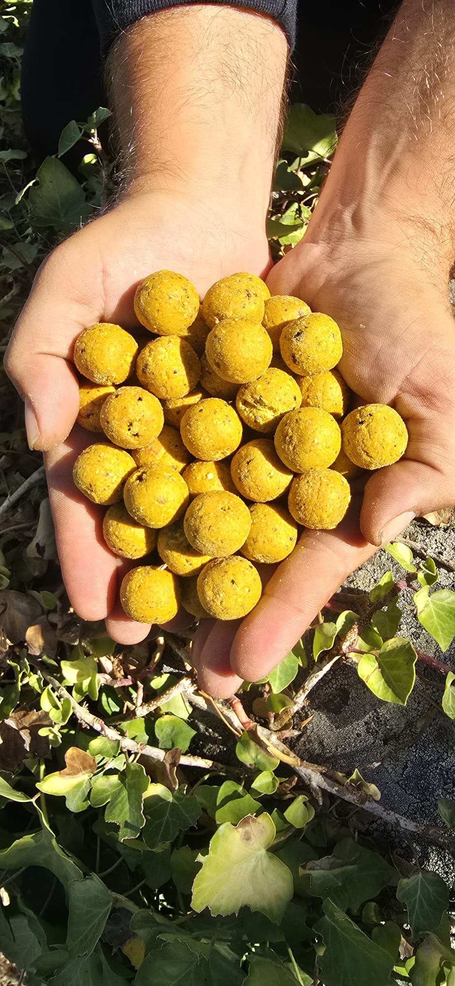 Kompas Boilies 900g