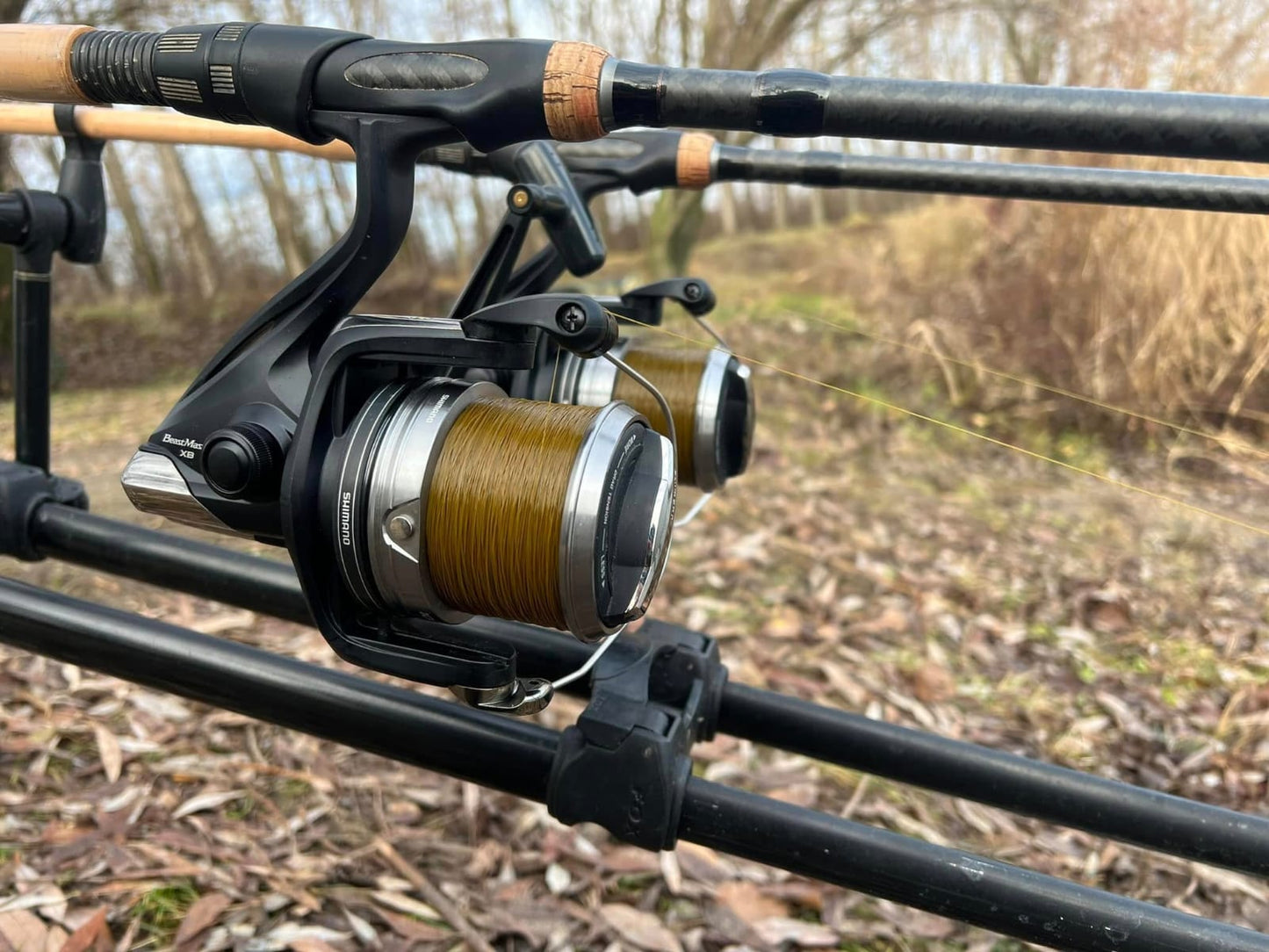 Synapse Wild carp 0,365-20,50lb-9,28kg al nudo-800m